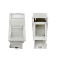 Dual Port Beveled Type Network UTP Cat5e CAT6 Wall Faceplate